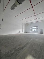 Ct Foodnex (D25), Factory #497908301